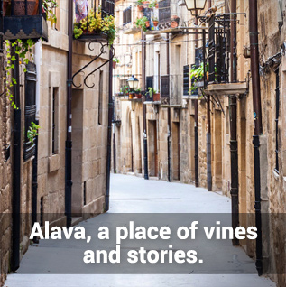 que-ver-hayquever-visitar-alava-araba